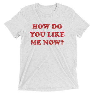 How Do You Like Me Now USA T-Shirt